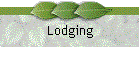 Lodging