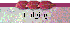 Lodging