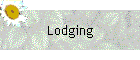Lodging