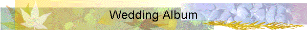 Wedding Album