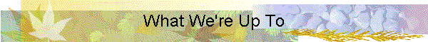 What We're Up To