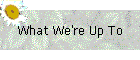 What We're Up To
